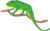 Chameleon On A Branch Clip Art